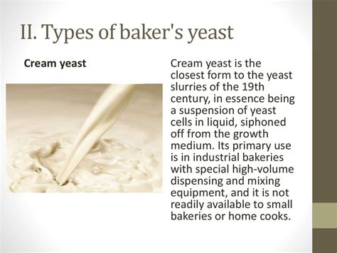 Bread and baker's yeast - online presentation