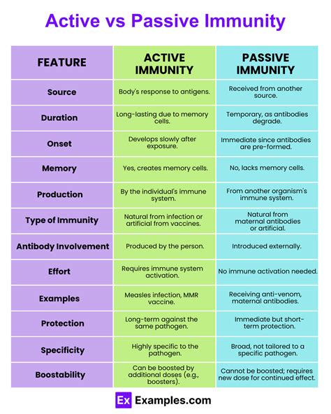 How Active and Passive Immunity Function: An In-Depth Look