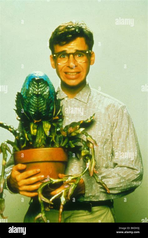 LITTLE SHOP OF HORRORS (1986) RICK MORANIS LSH 062 Stock Photo - Alamy