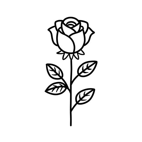 Roses Drawings Outlines