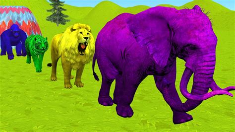 Paint Animals Gorilla Cow Tiger Lion Elephant Fountain Crossing Animal Game - YouTube