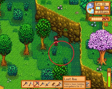 Where is robin's axe in stardew valley