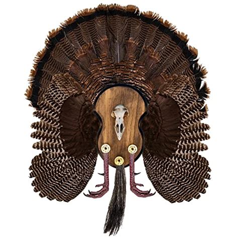 The Best Turkey Beard And Fan Mounts For A Perfect Hunting Trip