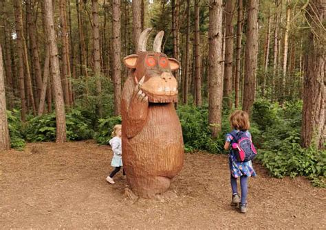 Everything you need to know about Delamere forest walks