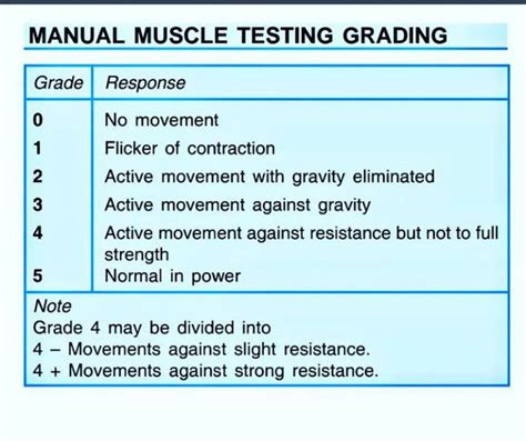 Manual Muscle Testing Grades - MEDizzy