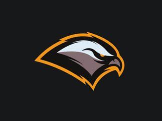 32 Best Falcon Logo Inspiration for Designer | Eagle mascot, Bird logo ...