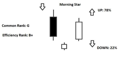 Morning Star Pattern - Feedroll