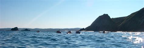 Ocean — Bay and Beyond Sea Kayak Tours