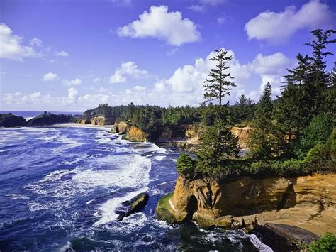 11 Top-Rated Attractions & Things to Do in Depoe Bay, Oregon