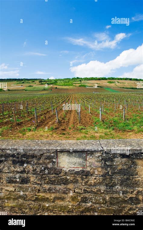 Limestone wall and marker for La Tache vineyard Stock Photo - Alamy