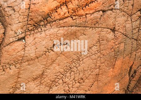 Sandstone siltstone texture background Stock Photo - Alamy