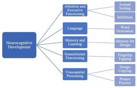 NEuroPSYchological Assessment (NEPSY-II) — AKIDS: Play-based ...