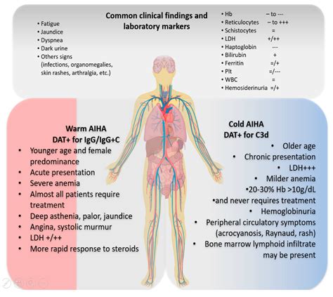 JCM | Free Full-Text | Difficult Cases of Autoimmune Hemolytic Anemia ...