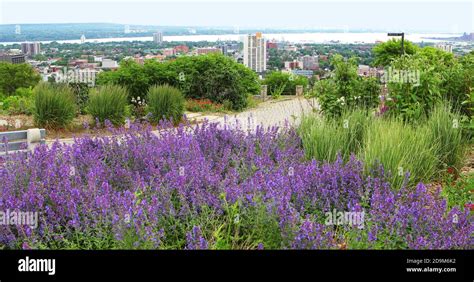 The Hamilton, Ontario skyline with road in front Stock Photo - Alamy