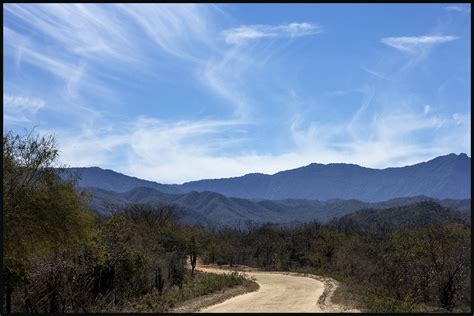 Baja California Sur, continued - Do It Yourself Nature Travel