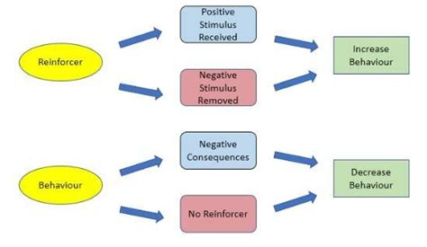 Operant conditioning approach by Skinner | Download Scientific Diagram