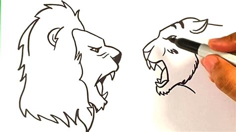 Tiger Vs Lion Drawing