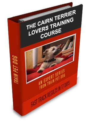 Cairn Terrier Training: Learn All About Training Cairn Terriers & Taking Care of Them