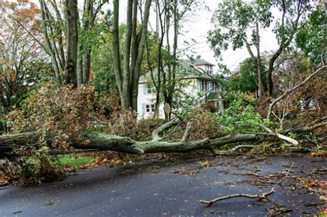 Derecho storm tears through the Midwest, causes widespread damage | Insurance Business America