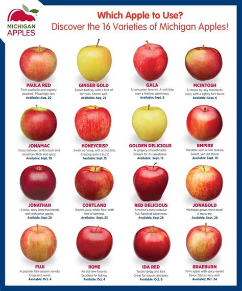 16 Types of Apples from Michigan | Healthy Family Project