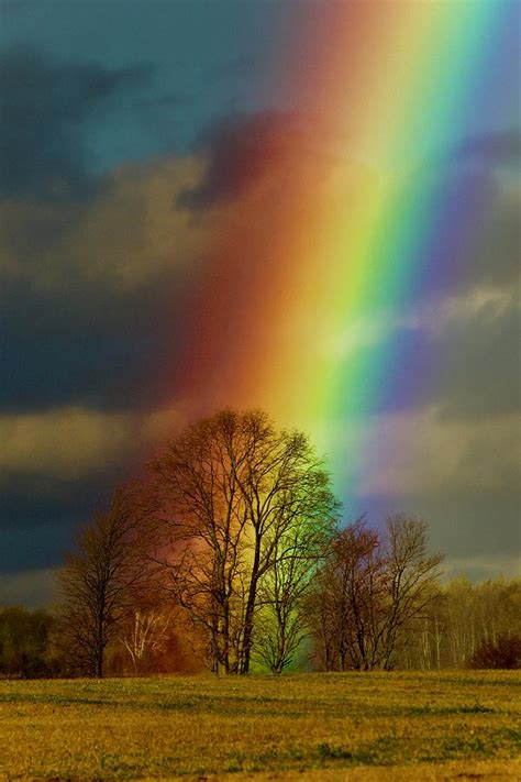 End Of The Rainbow Photograph by Glenn Baja