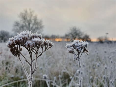 Winter Landscape : r/germany