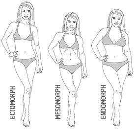 Meso-endomorph Female Celebrities