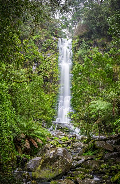 Erskine Falls - Samantha Ohlsen Photography