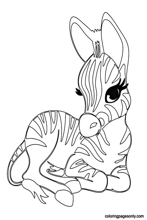 Baby Zebra Coloring Pages - Free Printable Coloring Pages