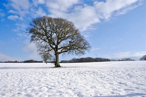 Isle of Wight Weather conditions and history, updated every 5 seconds.