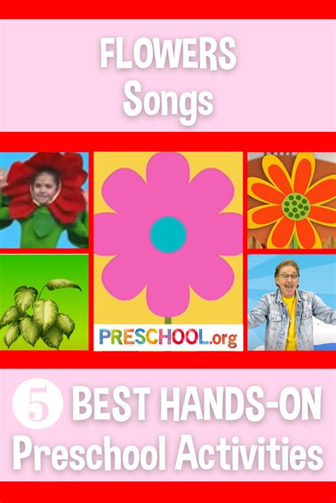 The 5 Best SONGS for FLOWERS Preschool Theme - Preschool.org