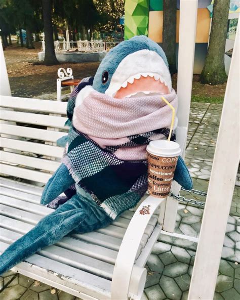 IKEA Plans To Discontinue BLÅHAJ Shark Toy, People Are Sharing Best Moments They Had With It