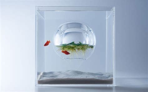 20 Most Unusual Fish Tank Designs for Office and Home