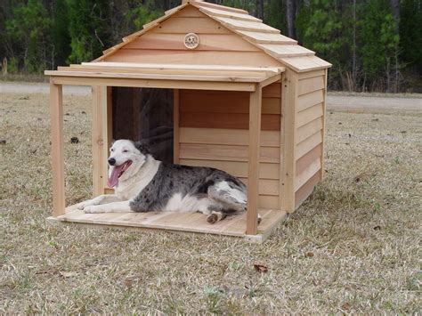 Large Dog House | Big dog house, Large dog house, Dog house plans