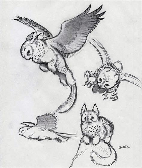 And Yet More Owl Griffin by RobtheDoodler on DeviantArt