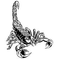 Scorpion Tattoos Png Picture Transparent HQ PNG Download | FreePNGImg