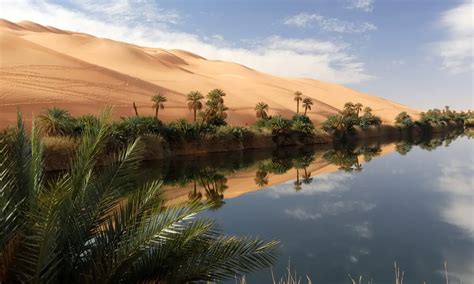 10 Beautiful Oasis Photos From Around The World