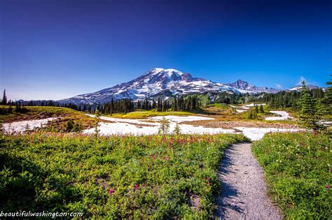 Mount Rainier: Deceptive enchantment of the most prominent Washington State Mountain