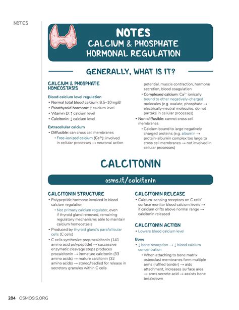 Calcitonin - Tugas - NOTES CALCITONIN STRUCTURE Polypeptide hormone ...