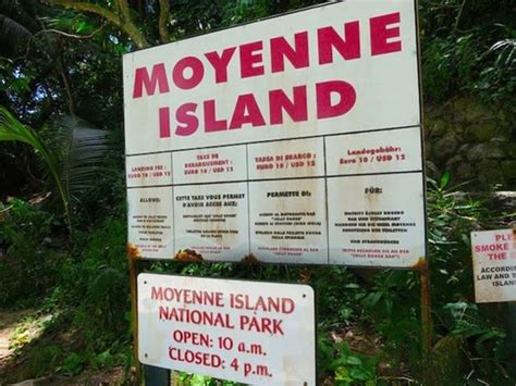 Brendon Grimshaw: An 87 Years Old Real life Robinson Crusoe lives on Moyenne Island once ...