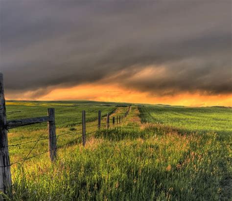 Canadian Prairies (in an approaching summer storm) Photo: Anita Erdmann ...