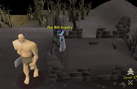 Hill Giants Osrs / They can be found in edgeville dungeon, in the eastern wilderness and deep in ...