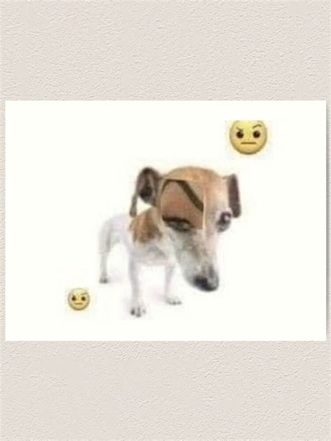 Dog Raising Eyebrows Meme | ubicaciondepersonas.cdmx.gob.mx