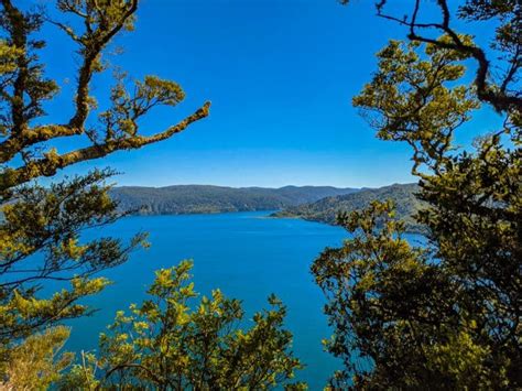 Lake Waikaremoana Great Walk: A Complete Guide