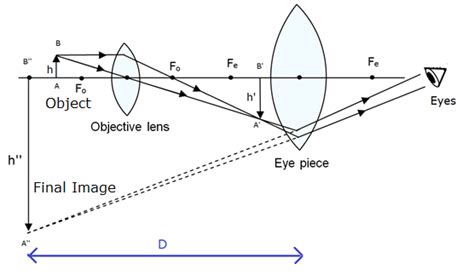 Compound Microscope Ray Diagram - diagramwirings