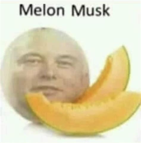 melon musk 😳😎 : orslokx