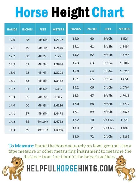 Measuring Horse Height in Hands - with Chart - Helpful Horse Hints