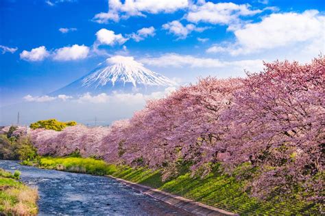 Tokyo To Mount Fuji - Japan Rail Pass