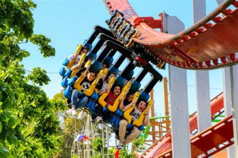 10 Types Of Roller Coasters (Differences, Videos)