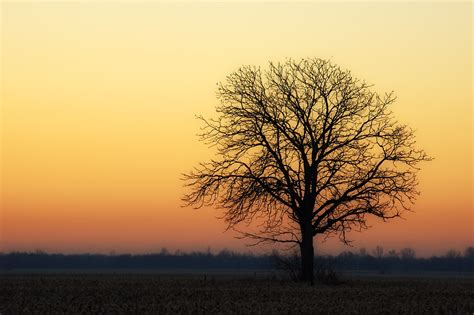 Midwest Landscapes - CountryRoadsPhoto